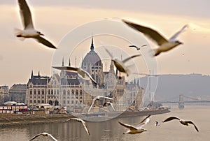 The house of parliament building in foggy weather, Budapest