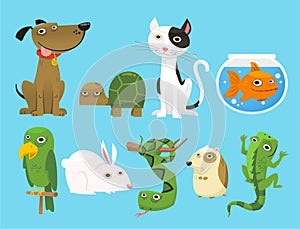 House pet set