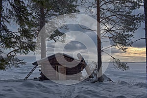 House and pine tree by the lake in winter