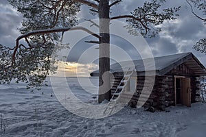House and pine tree by the lake in winter