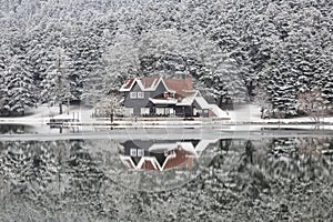 House and pine trees under snow by lake with reflection