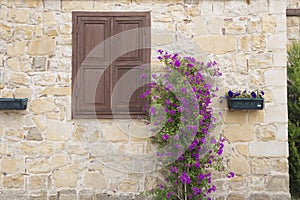 House with pink blooming bougainvillea