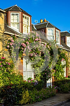 A house with pink climbing roses