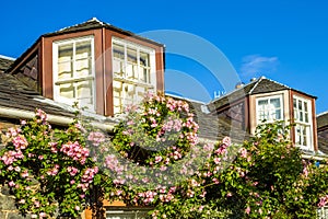 A house with pink climbing roses