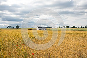 A house placed in a field