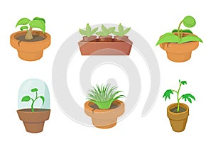 House plant icon set, cartoon style