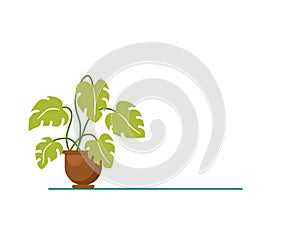 House plant isolated. Vector flat house plant pot illustration