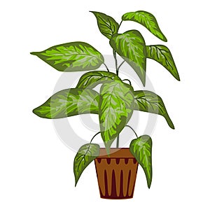 House plant leaf pot icon cartoon vector. Botanical window garden