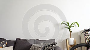 House plant in a living with copy space