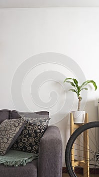 House plant in a living with copy space