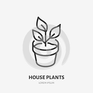 House plant in pot flat line icon. Vector thin sign of plants growth, flower store logo. Gardening illustration