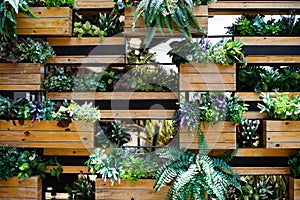 House plant wall decoration. Indoor plants on the wall. Room plant pots wall decoration.