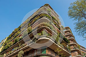 House with plants on balcony
