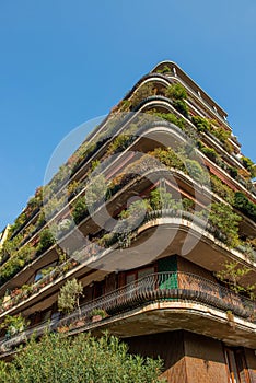 House with plants on balcony