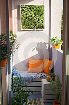 House plants on the balcony