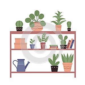 House plants in ceramic pots, books, watering can on wooden shelves of home nature garden