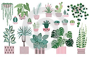 House Plants and Indoor Home Flowers Icons