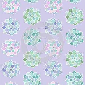 House plants pink purple blue green turquoise pastel succulent top view scandinavian style boho seamless pattern on a purple