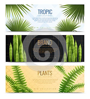 House Plants In Pot Banners Realistic Banner Set