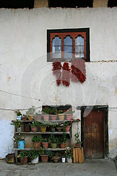 house with plants and red peppers in paro (bhutan)