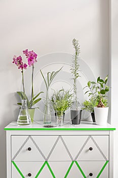 House plants on a white chest of drawers decorated with washi tape