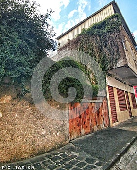 House in Port-Louis Mauritius with overgrown creepers