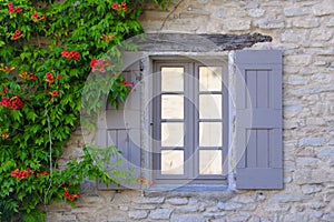 House in Provence photo