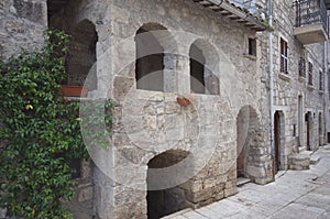 House of Re ManfrÃ¬, Castel Trosino