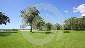 House residense near the sea. Great view on the ocean. Green grass. many tropical trees. Territory for rest and piece