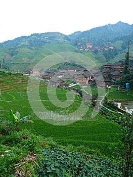 House in the rice fields