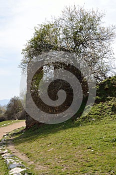 House ruins in Agios Achilios, Prespes