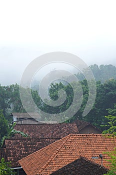 house\'s roof enveloped by trees, with mist-capped hills in the background