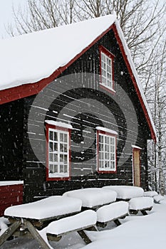 House in snow