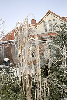 House in the snow