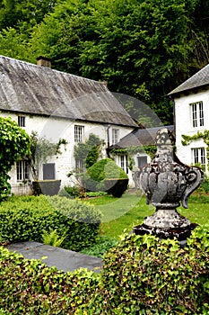 House with some ivy in facade and a vineyard.