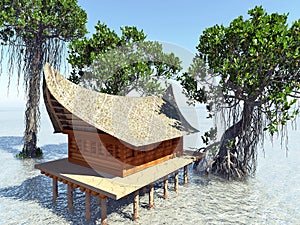 House on stilts in the mangrove forest. Beach architecture 3d rendering