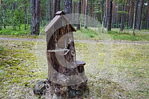 House in a stump in a pine forest. Summer sunny day. Housing for forest animals with art elements. Environmentally