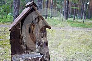 House in a stump in a pine forest. Summer sunny day. Housing for forest animals with art elements. Environmentally