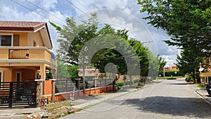 House Subdivision Road Lined Up with Trees