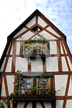 House with sunflowers in Bacharach along the Rhine Valley in Germany