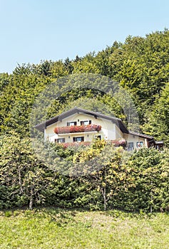 House surrounded by trees