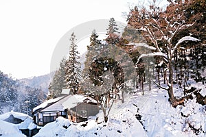 House surrounded by woods and snow.