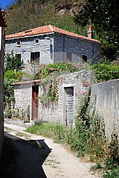 House in Susak village near Mali Losinj in Croatia photo