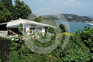 House with terrace built in Caribbean style surrounded by palm trees situated in the port of Castries in Saint Lucia photo