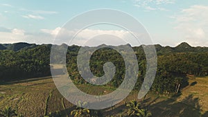 House at terraced rice fields on lake shore aerial view. Green jungle at mounts. Paddy meadow