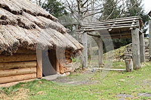 House with thatch roof in open-air museum photo