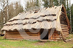 House with thatch roof in open-air museum photo
