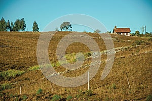 House on top of hill with dry bushes and rocks