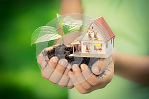 House and tree