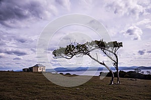 House with tree in Darlington on Maria Island, Tasmania, Australia
